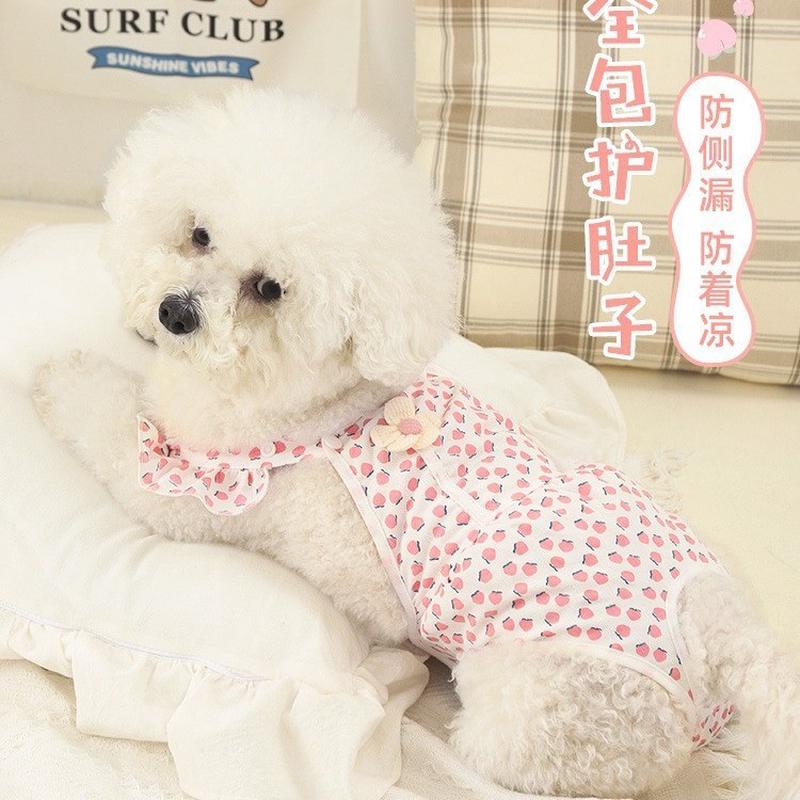 生裤宠物母比生女小型犬月经神器姨妈裤