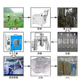 白桦茸提取物30:1植物云提取物奇生物厂家现货包邮