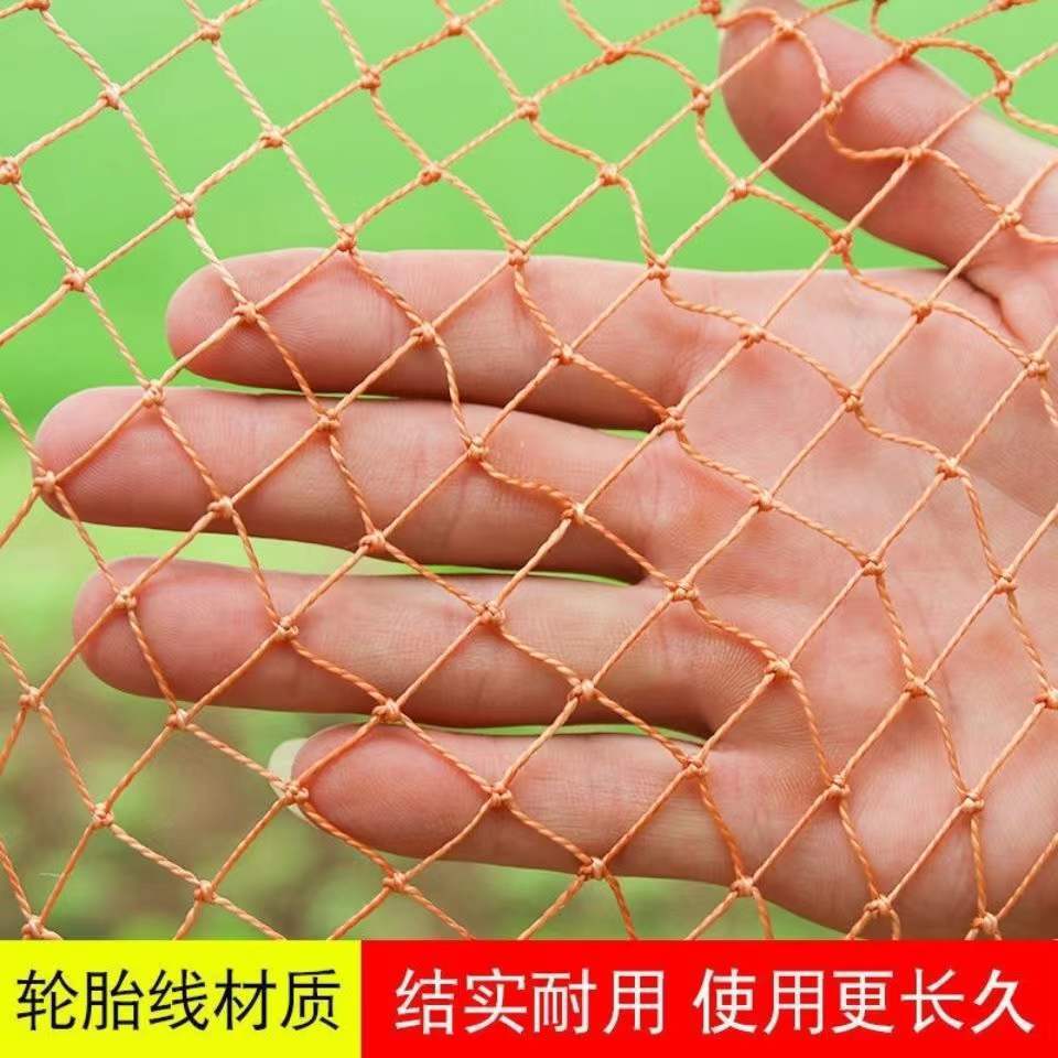 捕收鸽天落笼全自动抓收鸽笼子逮鸽信赛鸽只进不出户外加粗防