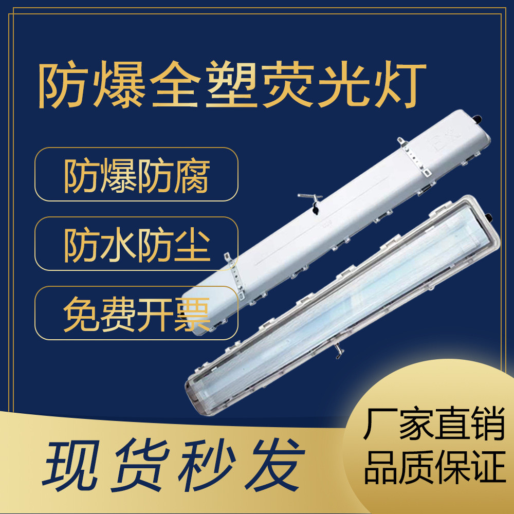 BYS防爆防腐全塑荧光灯双管2*18W吸顶防水防尘应急荧光灯2*40W