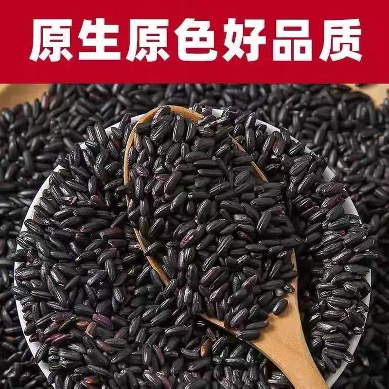 现货黑米500g东北五常新五谷杂粮黑糯米无染色煮粥八宝粥黑米粥黑