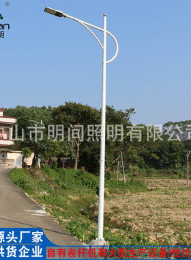 LED路灯批发厂家供应30瓦高亮度小金豆市政工程建设5米4米道路灯