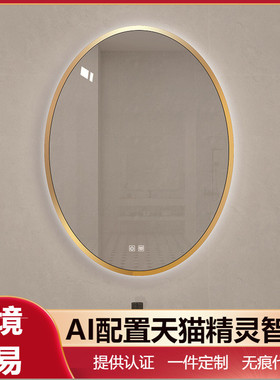 铝框椭圆形浴室镜子触摸感应除雾LED梳妆镜卫生间挂墙高清智能镜
