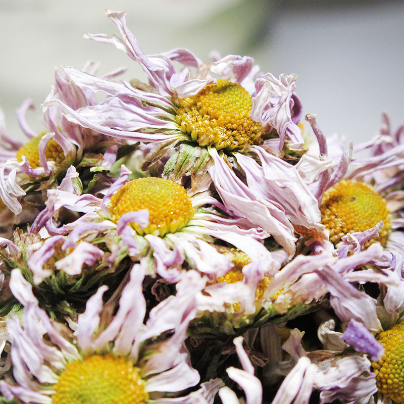 新日期杭州千岛湖金紫野生高山尖七彩菊50克花草茶紫菊花贡菊代用