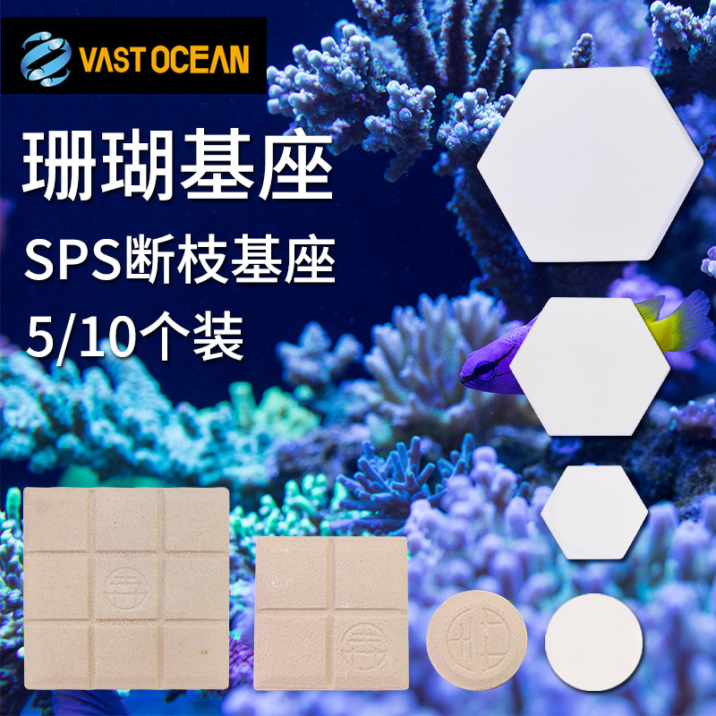 老何 精品六边形方形珊瑚断枝座纽扣平底基座底座繁殖圆形断支座