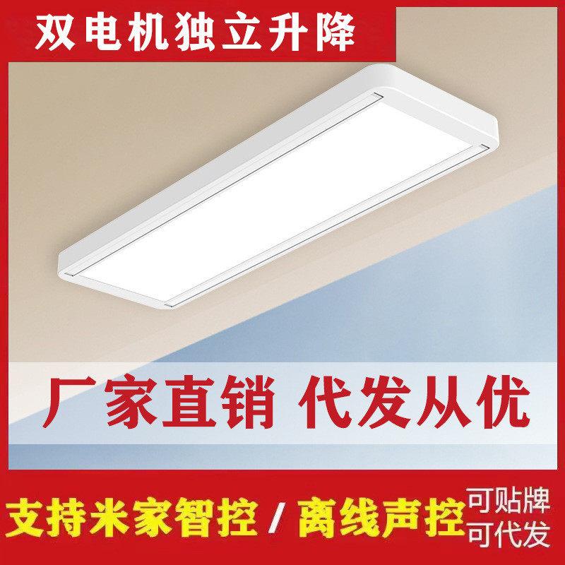 厂家直销电动晾衣架声控智能隐形升降阳台全自动超薄晾晒衣架批发