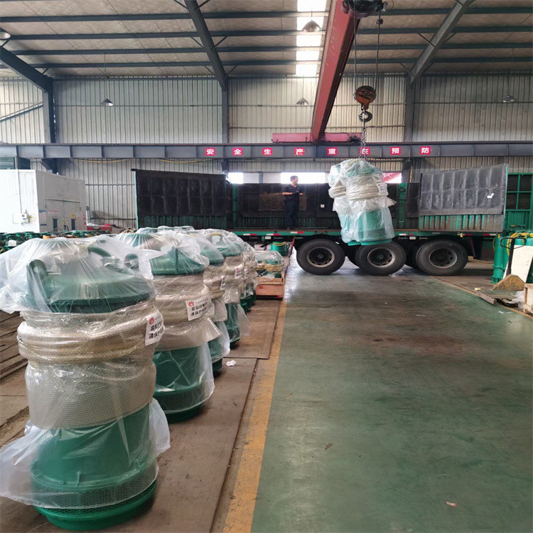 热销bqs50-100-30/n纯铜 f级绝缘 潜水泵电机 矿用潜水排沙泵