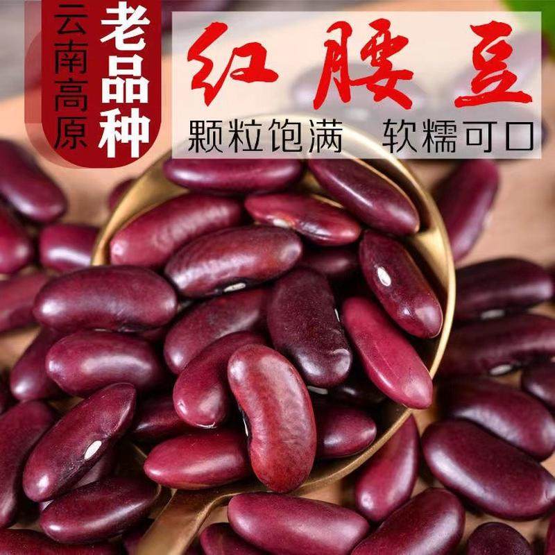 新货云南红腰豆新货农家自种大红豆红芸豆饭豆豆馅打豆浆豆类杂粮