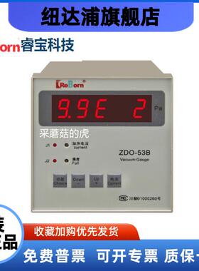 ZDO-53B 睿宝热偶真空计 规管ZJ-54D RBY-105/355压阻变送器ZJ-2Y