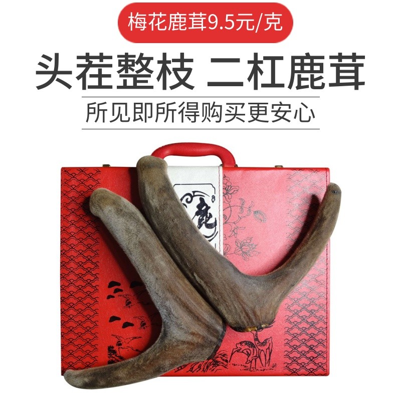 新日期干梅花鹿茸头茬干鹿茸二杠整枝鹿茸鹿角整根带血干鹿茸片磨