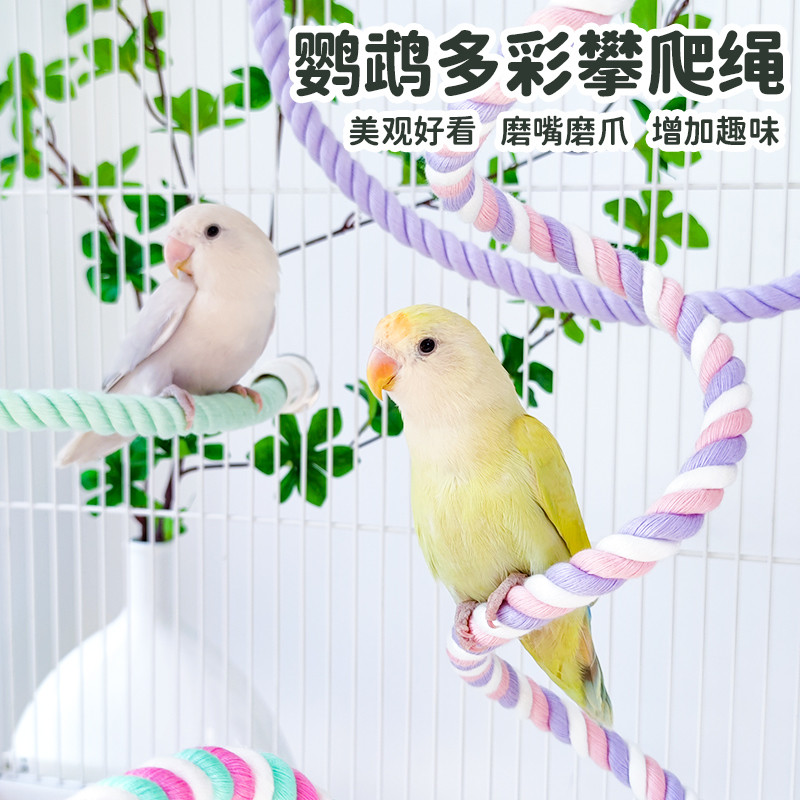 鹦鹉棉绳站杆鸟笼装饰攀爬解闷鸟玩具玄凤牡丹虎皮专用宠物用品