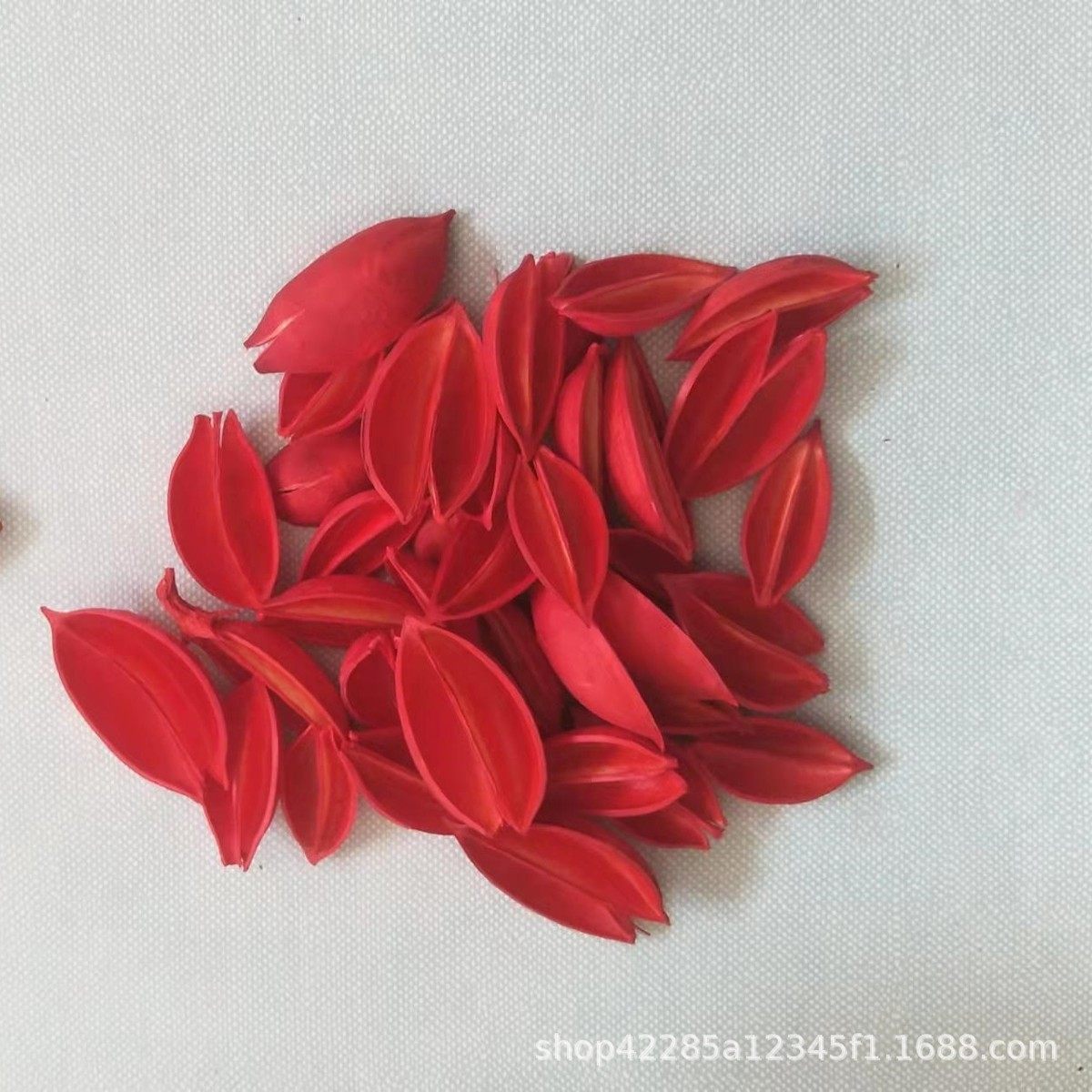木莲梧桐壳天然干花原材料小花泡桐果diy手工拈花材料