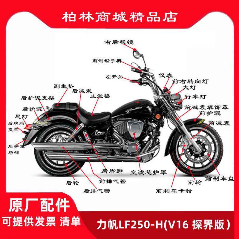 力帆V16太子摩托车配件大全LF250-H大灯后视镜转向灯前护泥 脚蹬图片