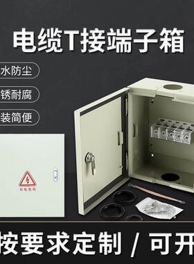 热销电缆国标箱矿物水t铜排分支接线端子分流箱bttrz转接等电位转