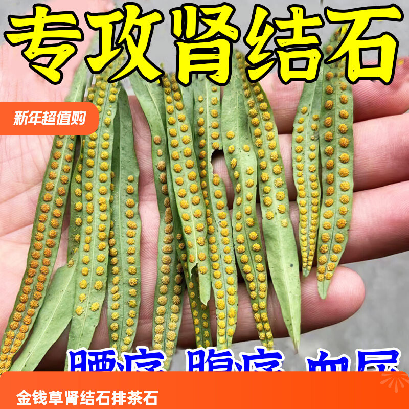 金钱草肾结石排茶石药化石草鸡内金排颗粒石专用化石克星非药