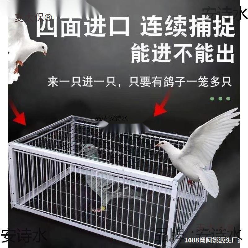 户外捕鸽神器鸽子笼全自动天落笼子自动只进不出撞门四面埋麦太保