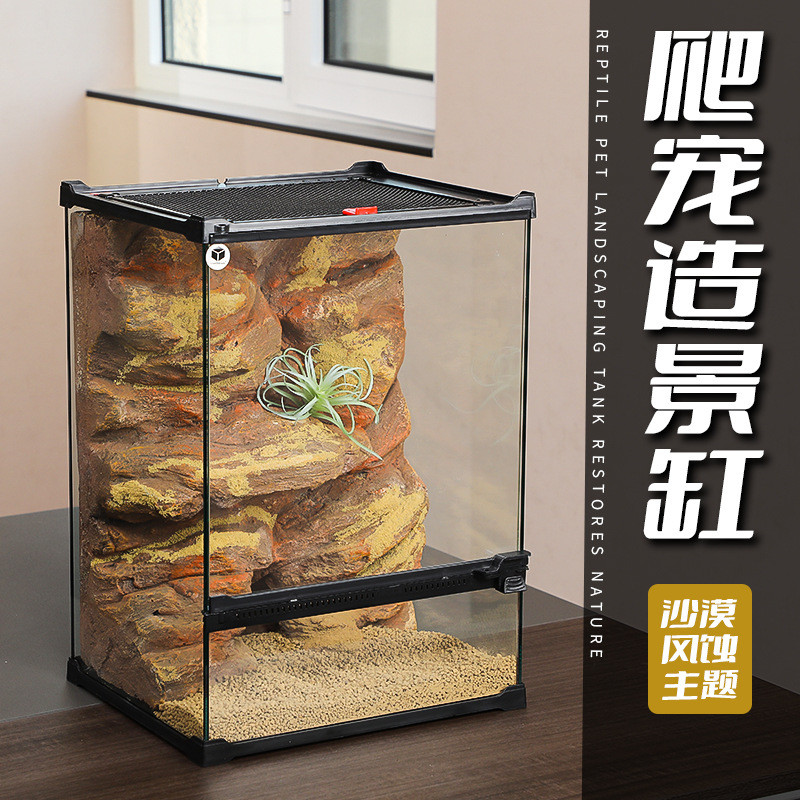 爬宠造景缸一体爬虫缸一物成景雨林爬宠缸爬宠景观缸沙漠爬缸