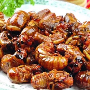 新货山东土特产香酥蝉蛹开袋即食麻辣五香油炸金蝉知了猴下酒菜熟