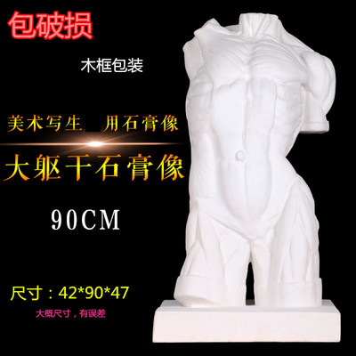 厂家直销大躯干石膏像半身像美术用品写生教具五官手脚人物胸像