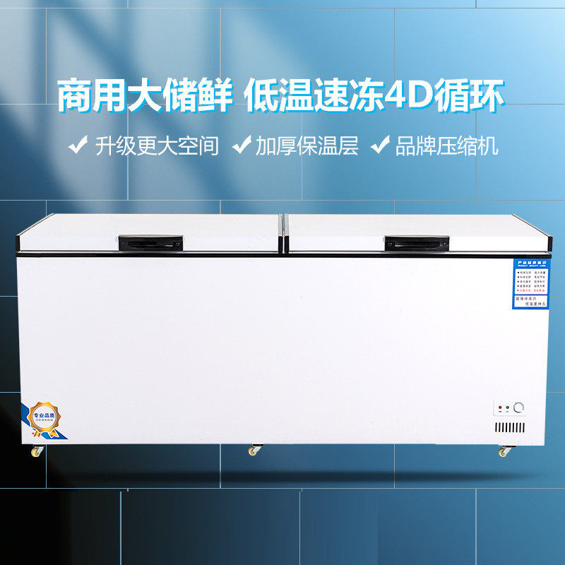 商用大容量冰柜卧式保鲜展示冷柜大型冷藏两用单温双温铜管冷冻柜