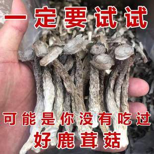 新货 鹿茸菇干货非特级鹿茸菌香菇送礼土特产无添加新 无干燥剂