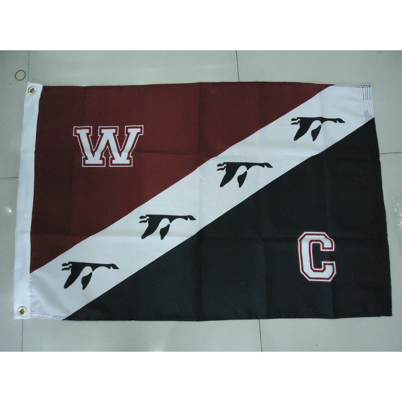 尼龙旗旗帜制作尼厂家直销旗批发尼龙旗龙旗,文具电教/文化用品/商务用品,旗帜/锦旗,淘宝优惠券,粉丝福利购,淘宝优惠卷