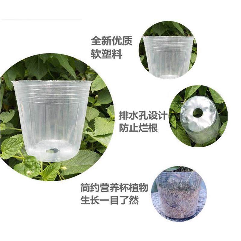 透明育苗杯塑料透气花盆多肉家庭营养白色兰花打孔种植美植袋批发