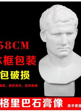 阿格里静物石膏像人物头像美术教具石膏头像素描石膏巴模型摆件