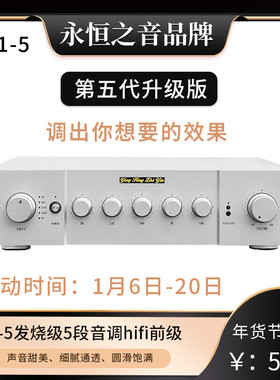 永恒之音升级版五代X1发烧级甲类全平衡前级放大器hifi前级功放机