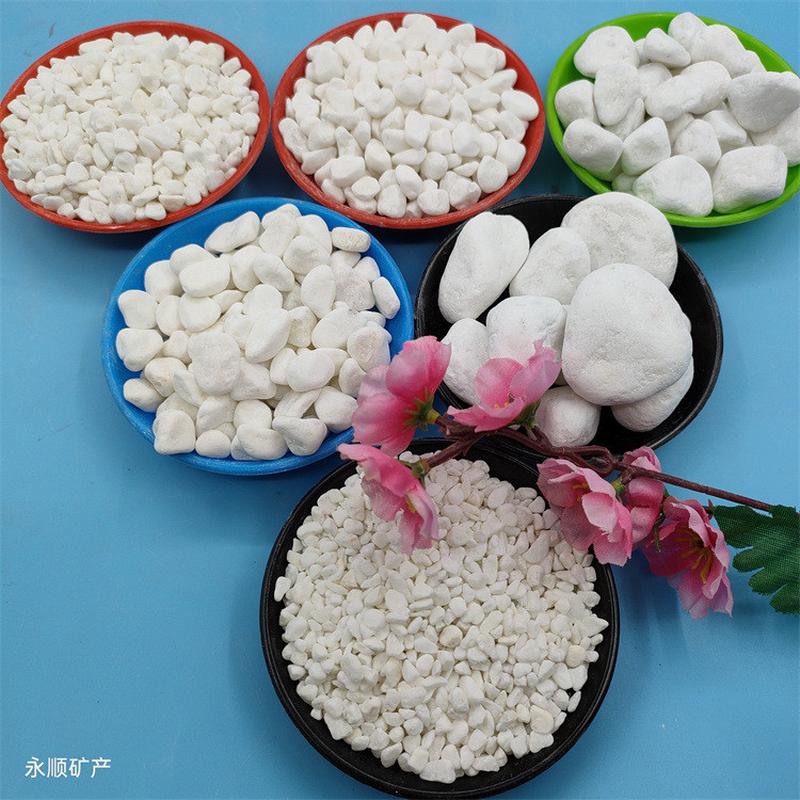 热销园林道路铺设多肉植物造景铺面白石子庭院装饰树坑填充