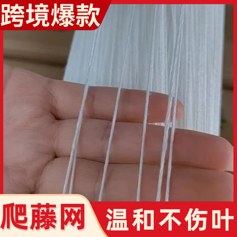 爬藤乐瓜豆角豆网丝农用种植网苦瓜花卉植物攀爬网免挂线v字新型