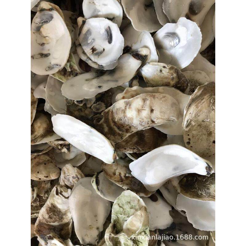 热销牡蛎壳批发洗干净生蚝斤砌墙锦鲤鱼池过滤净化水质50壳装,宠物/宠物食品及用品,过滤设备,淘宝优惠券,粉丝福利购,淘宝优惠卷