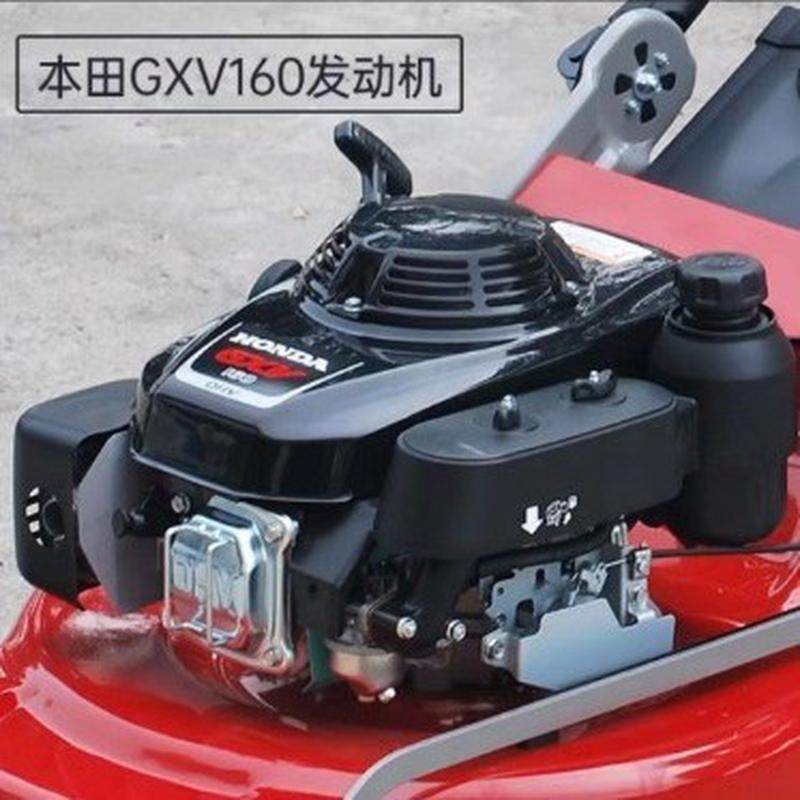 热销凯姿（kazz）536hh割草机寸草坪机21汽油手推式剪草机打草机,鲜花速递/花卉仿真/绿植园艺,割草机/草坪机,淘宝优惠券,粉丝福利购,淘宝优惠卷