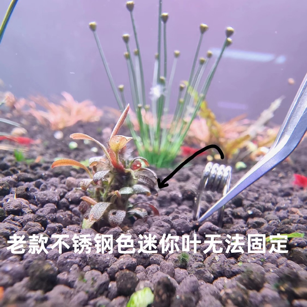 ll辣椒榕水榕水草定植叉不锈钢网片定值器固定水草工具水榕叉