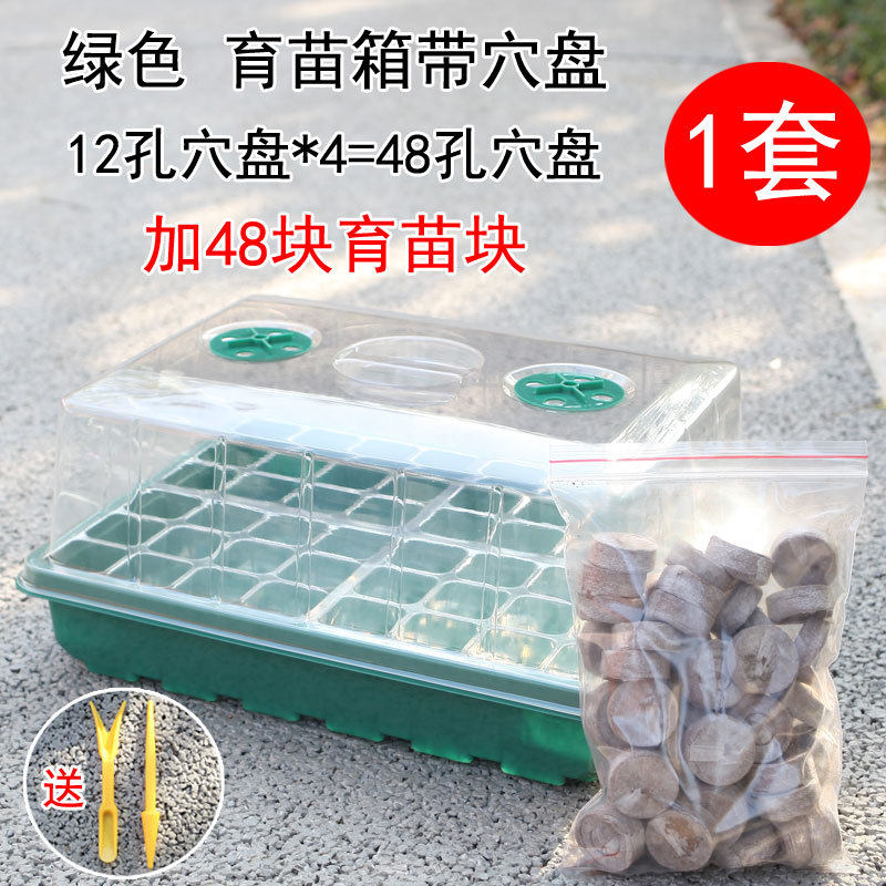 育苗盘艺术秀园艺箱大号高盖48扦插24孔盆播种闷养盒叶盘