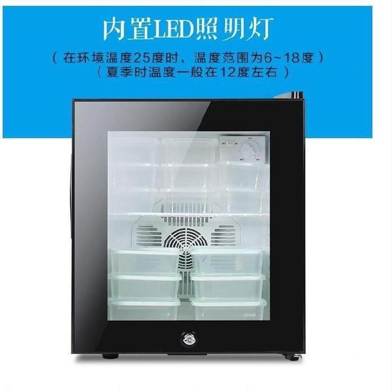 热销双锁餐饮小型放饮料冷柜商用饮料家用小冰箱公寓30升蛋糕留样