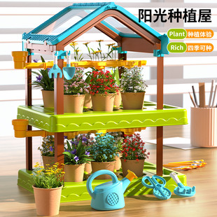 小学生植物生长观察盒迷你种花 阳光花房儿童种植diy6科学实验套装