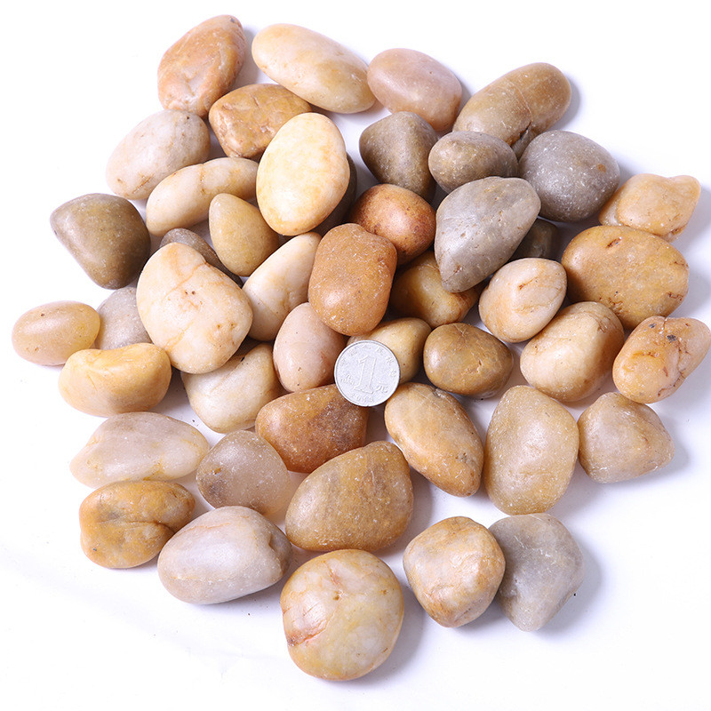 亮光鹅卵石 水池垫底抛光雨花石头 园林造景园艺盆栽黄色石块