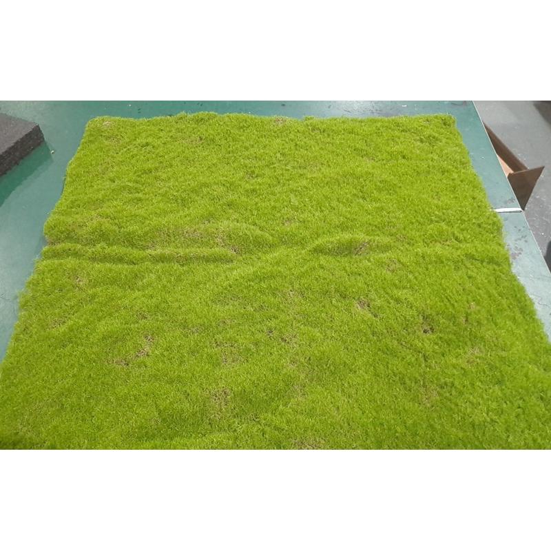 博林仿真青苔绿色假苔藓植物墙苔藓微景观造景装饰草坪草皮批发