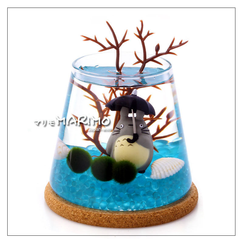 富士山球海藻微景观生态瓶批发多规格marimo水培植物摆饰