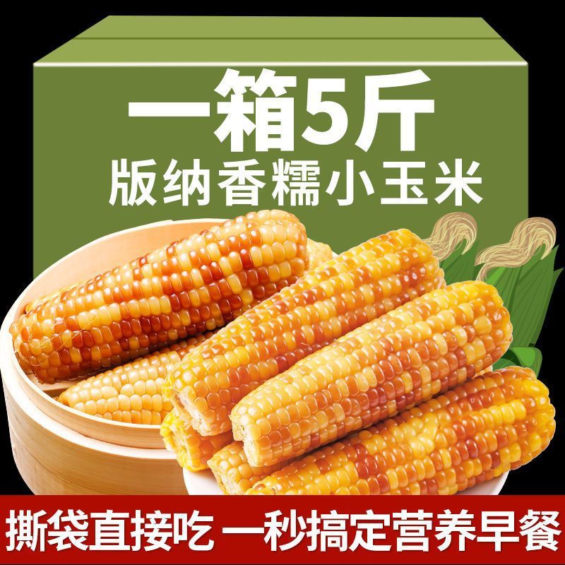 新日期西双版纳香甜糯小包谷玉米新鲜真空装即食早餐代餐沾玉米厂