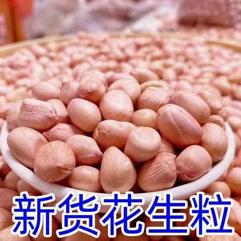 一级花生米农家新货（生）花生仁优质花生粒新鲜干货精选花生米散