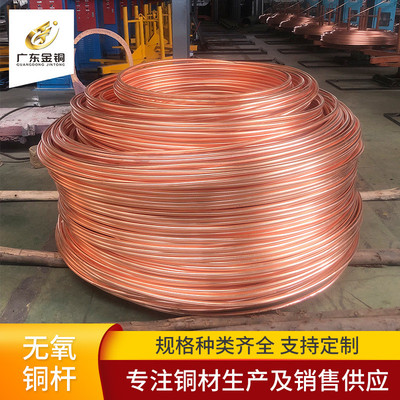 无氧铜杆tu1紫铜线厂家供应电力设备设施用导电性强镀锌红铜线