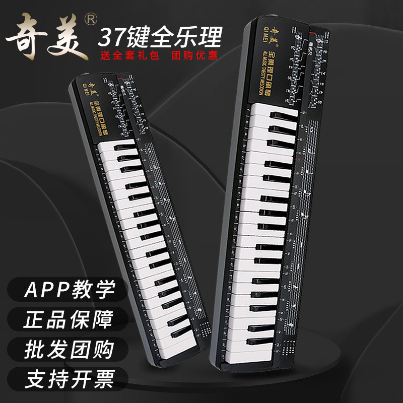 奇美全乐理口风琴37键学生用儿童初学吹管乐器成人专业演奏口吹琴