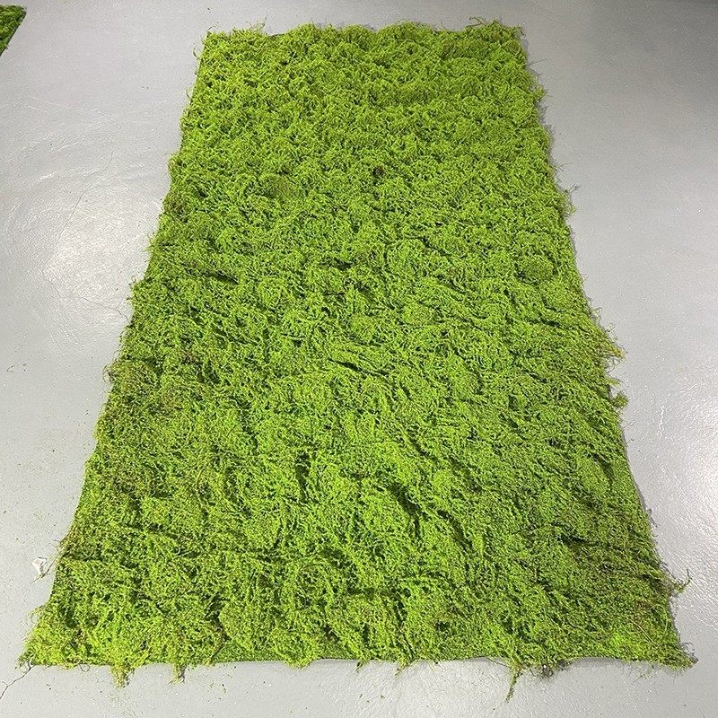 仿真棕丝苔藓diy手工草皮造景装饰绿植套装景观布置摆件,基础建材,仿真茅草,淘宝优惠券,粉丝福利购,淘宝优惠卷