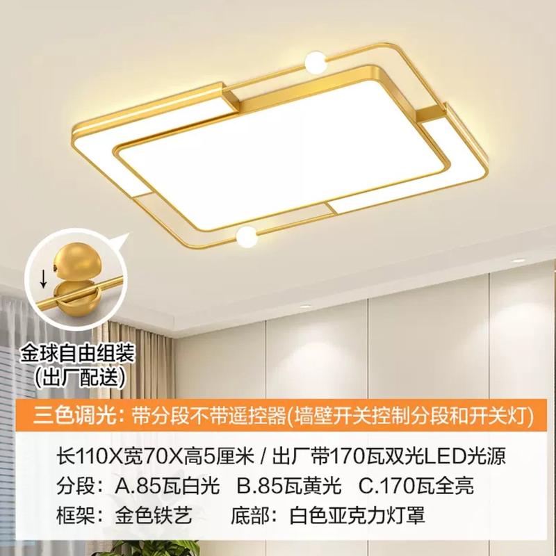 家用2024新款智能摇控调光客厅大灯现代简约客厅吸顶灯客厅灯套装