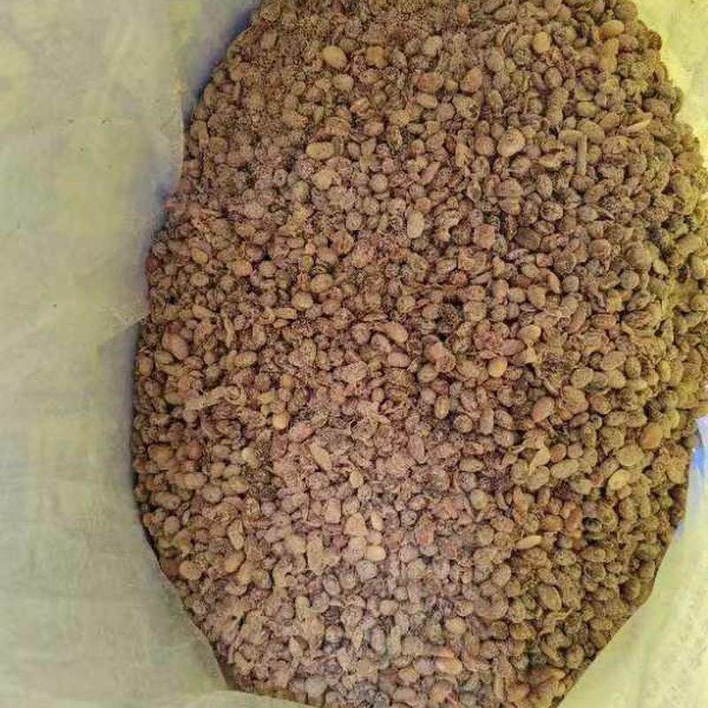 肥料农用发酵瓜果有机大豆蔬菜土壤改良剂腐熟发酵大豆肥发酵大豆