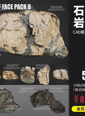 5款写实扫描石头岩石C4D模型blender格式3d三维场景渲染素材C817