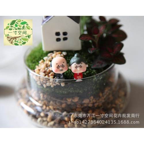 苔藓微景观微景观diy相伴一生创意礼品套装摆件