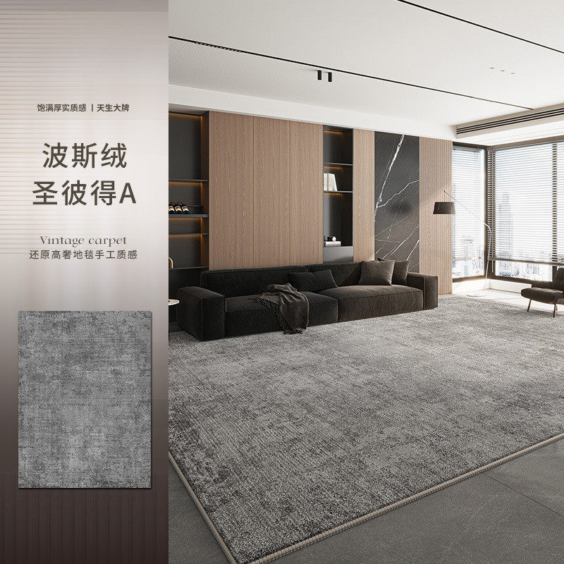 地毯客厅2025新款床边地垫高级感灰色免洗可擦卧室轻奢极简沙发毯